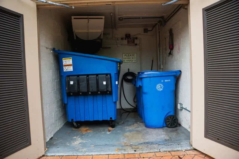 Clean dumpster and cart in a washed-out enclosure